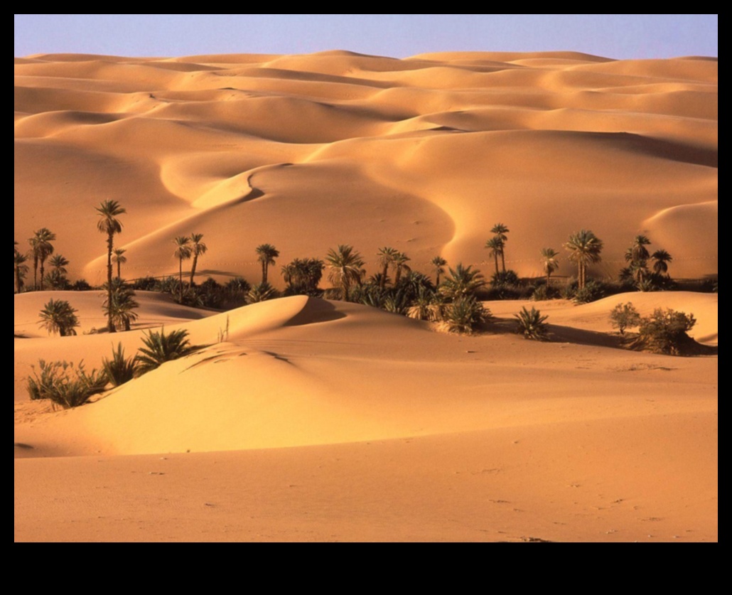 אואזיס נווה מדבר במדבר 2 נווה מדבר המדבר: חיים בין נופים צחיחים