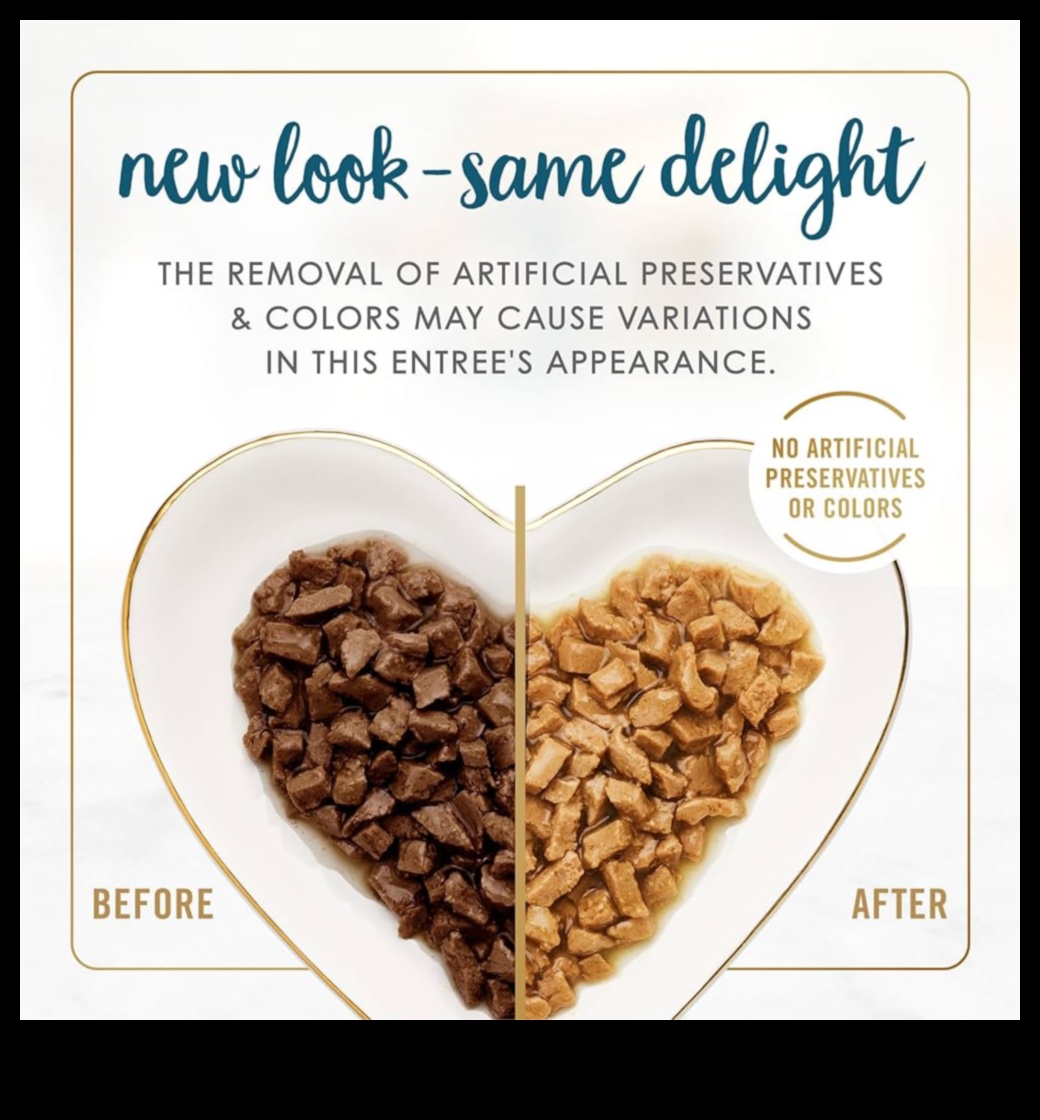 תענוגות גורמה חלבון אלגנטיות לחיך הבחנה 4 אלגנטיות חלבון: תענוגות גורמה כדי לספק כל חיך