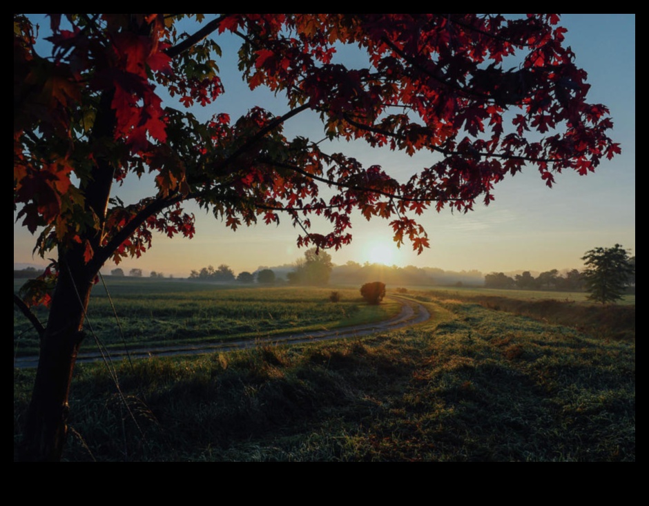 רפסודיה כפרית III: לכידת שוב את המהות של השלווה הכפרית