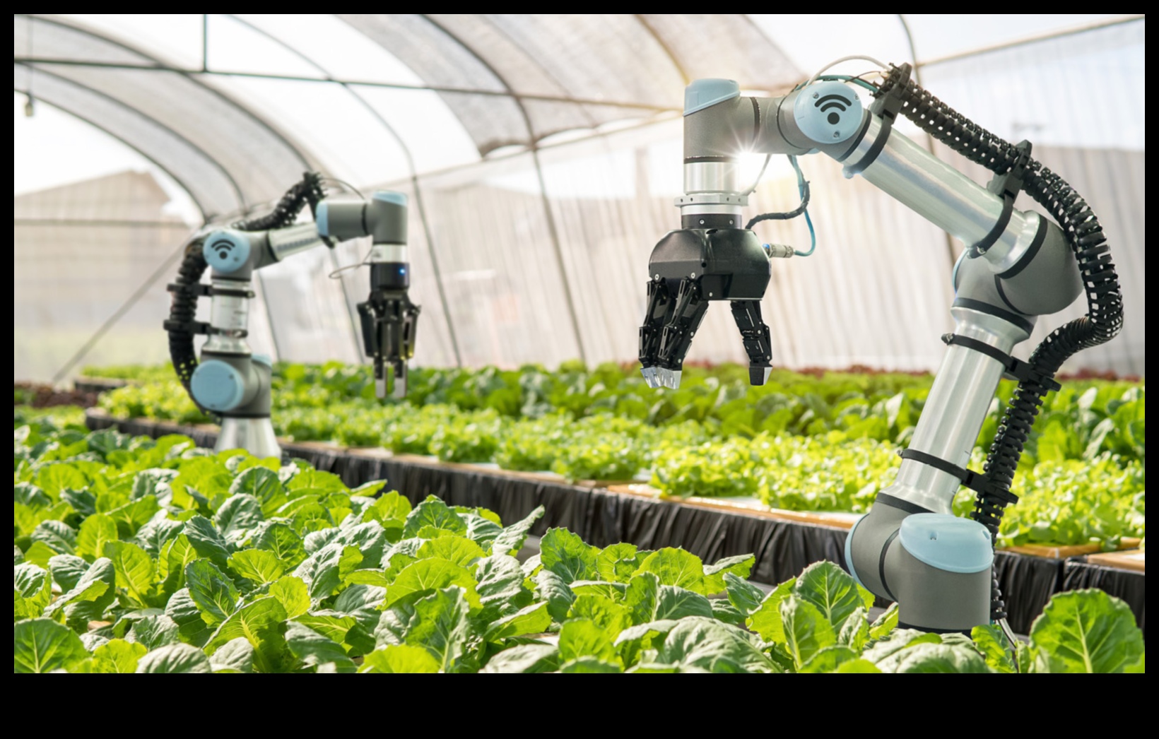 Farming the Future 3 שדות של שפע: שטחים חקלאיים ושדות יבול נחקרו