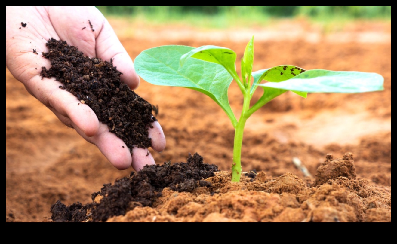 כיצד משפיעים סוגי קרקע שונים על הצמחייה של נופים?