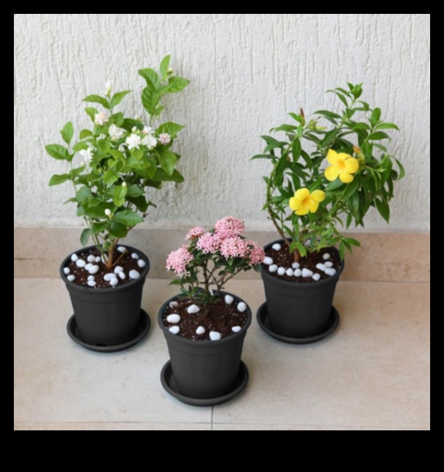 בוסט פריחה: אלגנטיות משתלת פרחונית