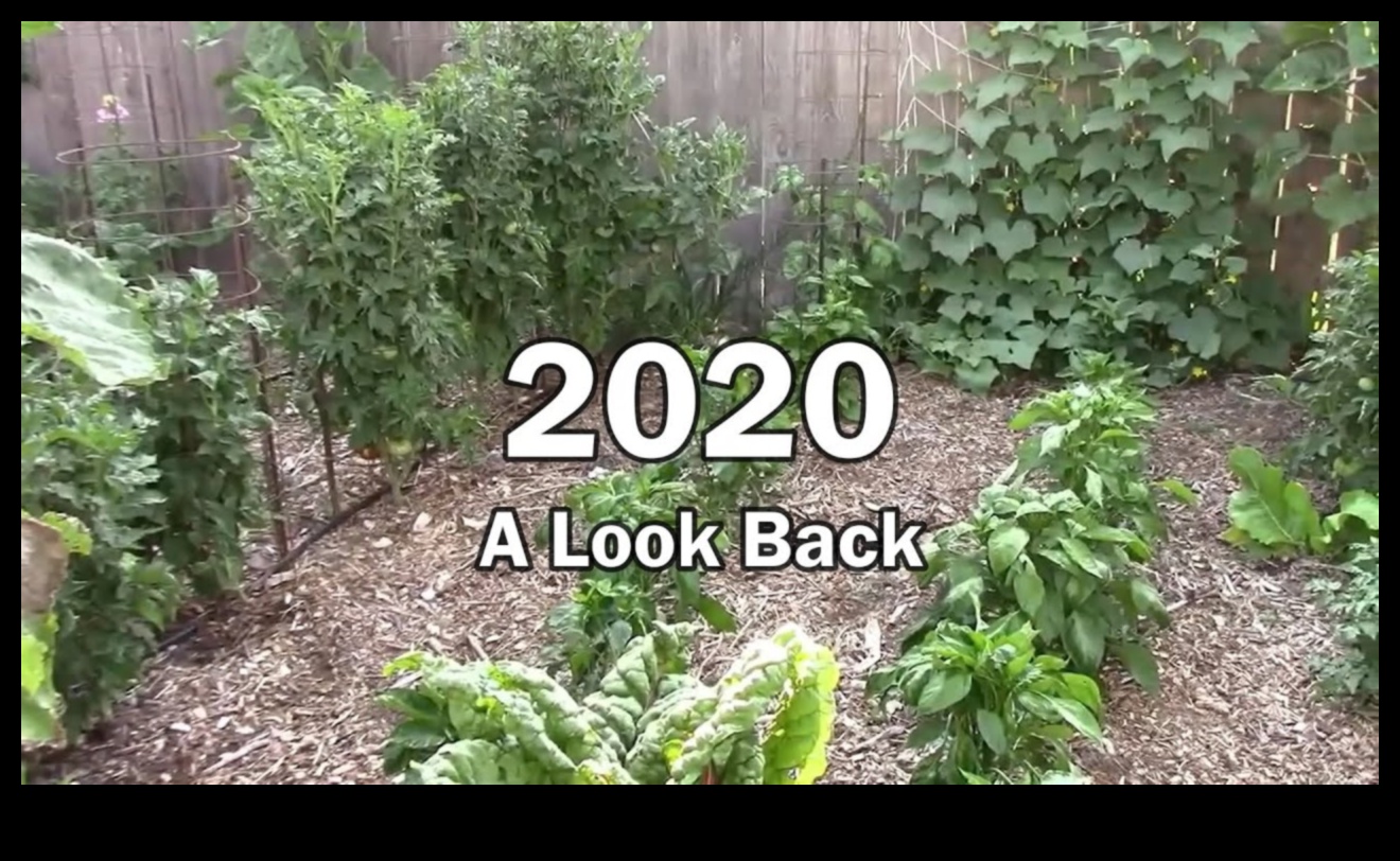 גנים דרך הזמן II מבט אחורה 3 גנים דרך הזמן II: הוד והדרות היסטוריים בכל עידן המשך