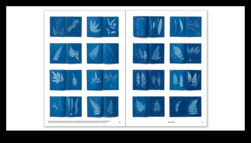 בחיק הטבע: צילומי נוף מהפנטים