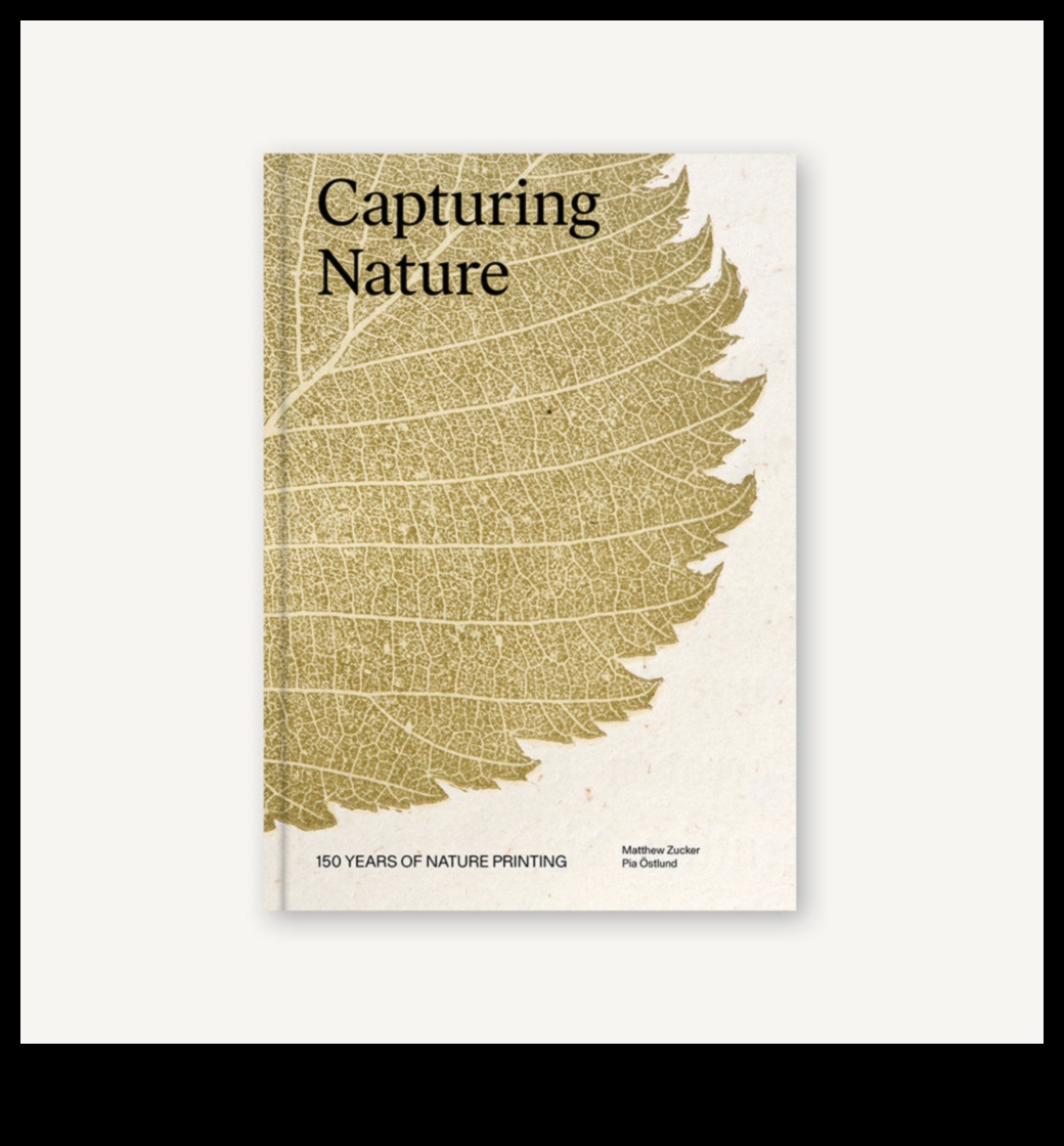 בחיק הטבע: צילומי נוף מהפנטים