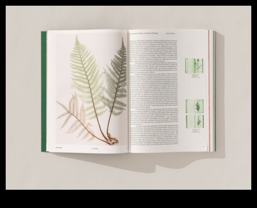 בחיק הטבע: צילומי נוף מהפנטים