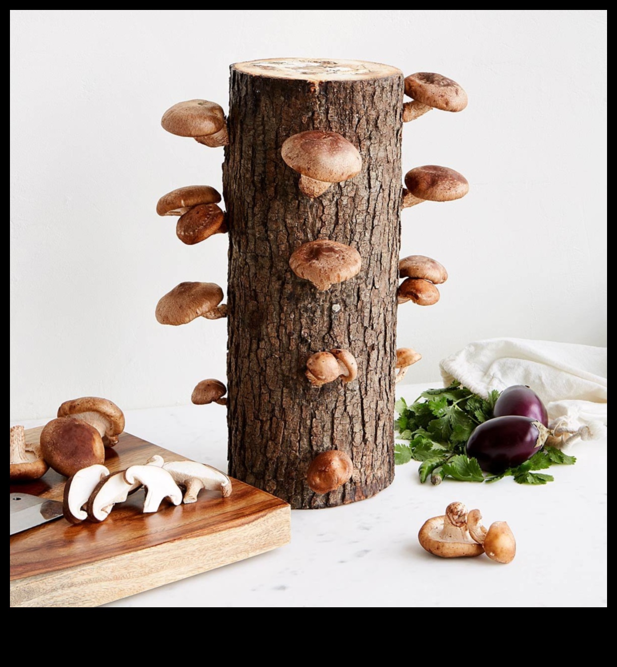 מתנות קולינריות עשה זאת בעצמך: פינוקים בעבודת יד לכל אירוע