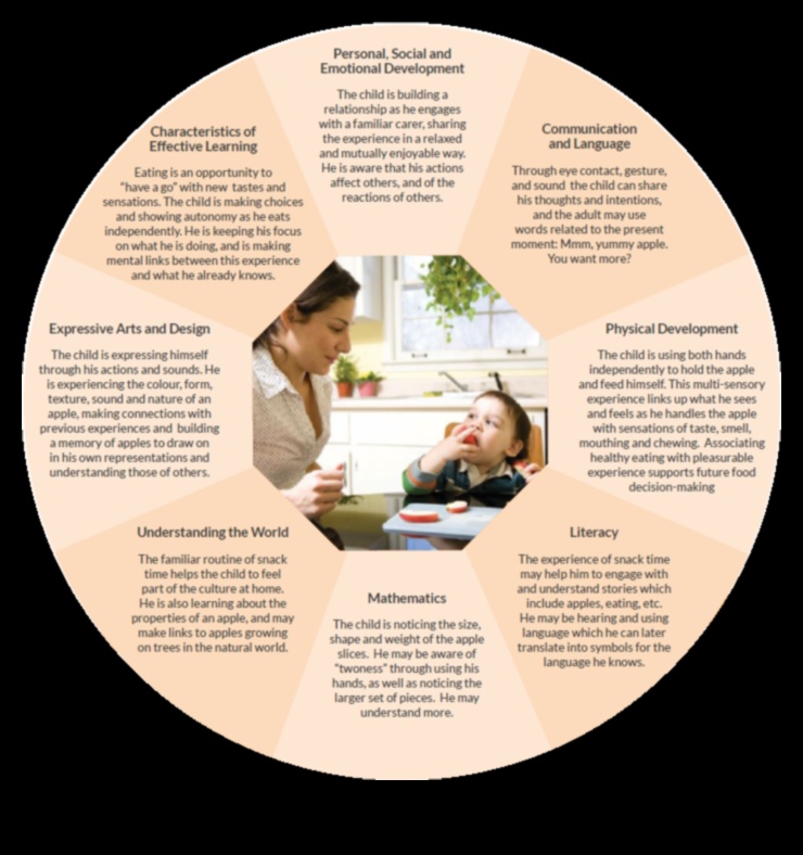 מטפח הטבע גישה הוליסטית להתפתחות תינוקות 4 מטפח הטבע: טיפוח התפתחות הוליסטית אצל תינוקות