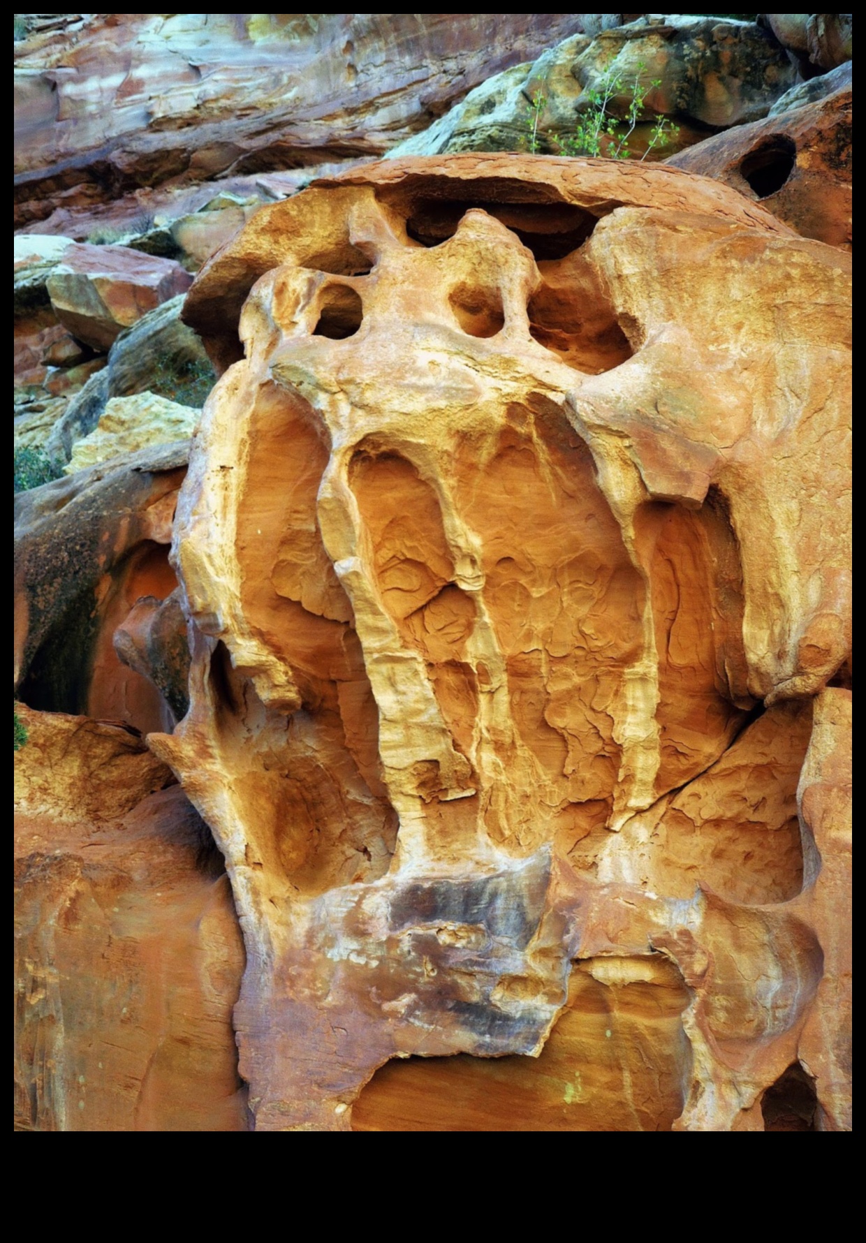 סלעי הדמיון 3 פסלי הטבע: אמנות אדמה שמעוררת פלא