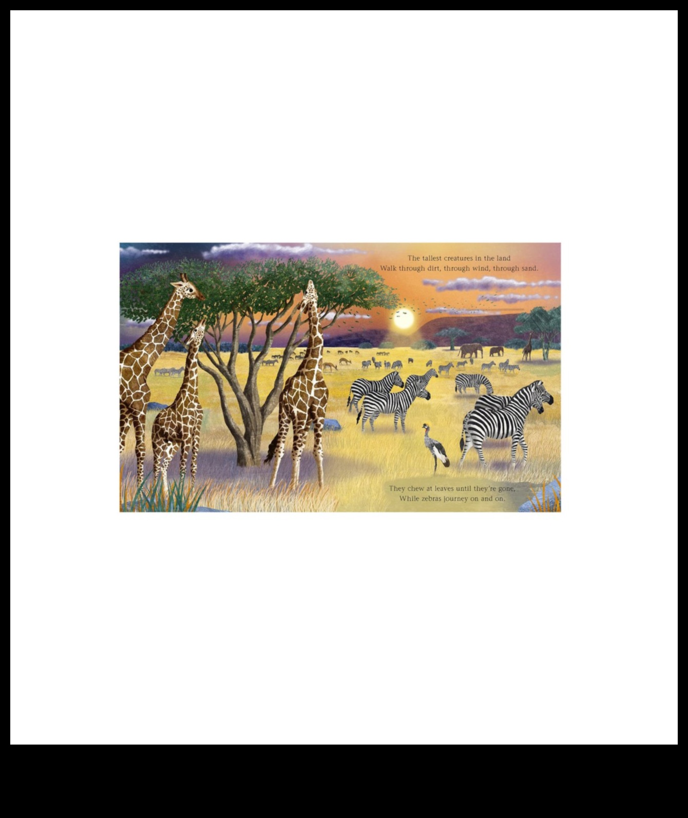 הרפתקאות טבע אפיות: אוסף של נופי נוף מרהיבים