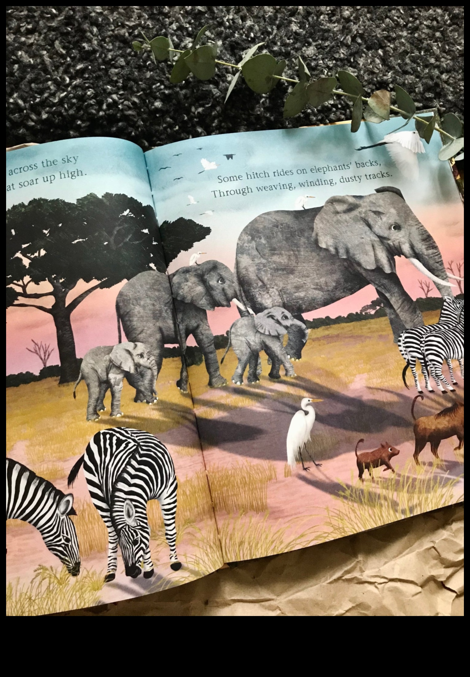 הרפתקאות טבע אפיות: אוסף של נופי נוף מרהיבים