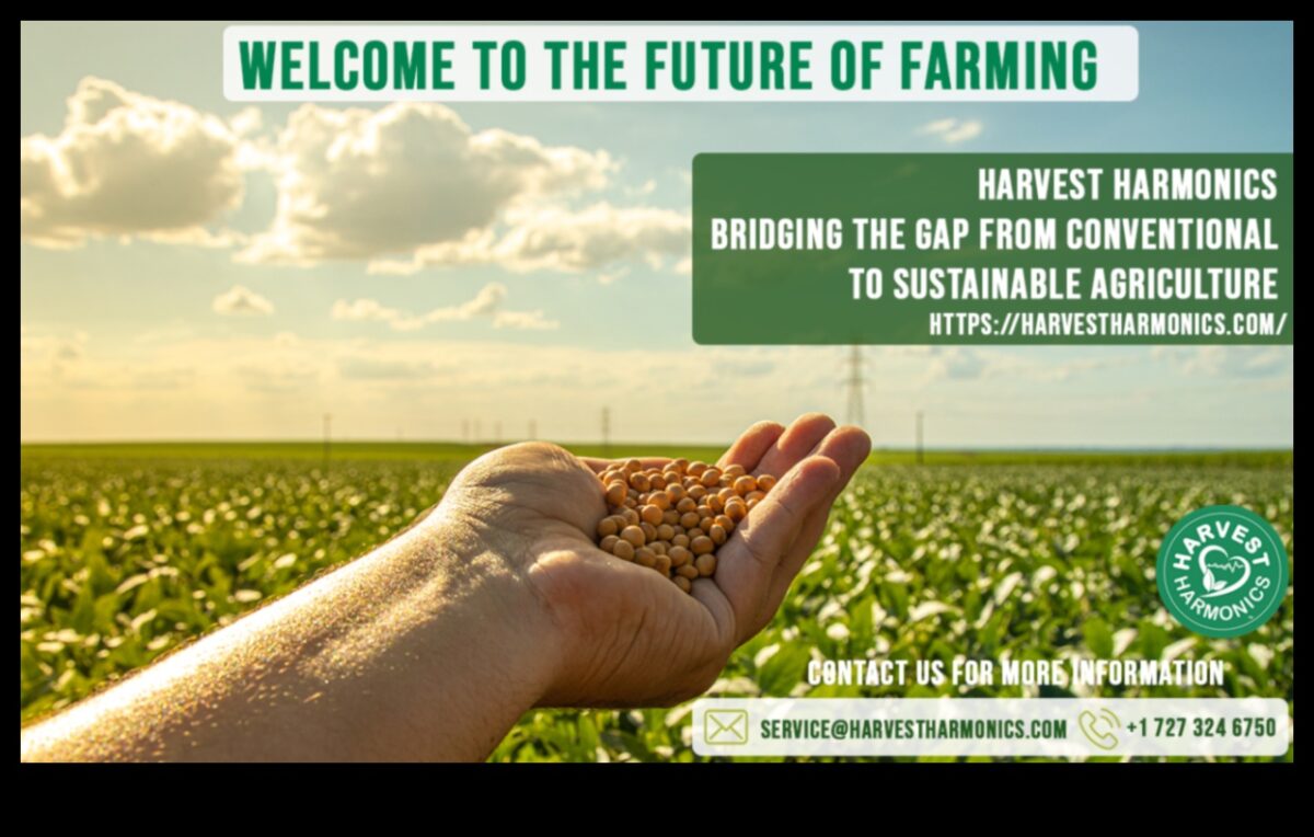 Harvest Harmony III: המשך חגיגת היופי של אדמה חקלאית מחדש