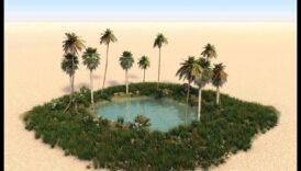 נווה מדבר המדבר: חיים בין נופים צחיחים