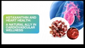 אופק לבריאות המרכז גלה את הדרך לבריאות באמצעות אירובי 4 אופקי בריאות הלב: גילוי בריאות באמצעות קרדיו