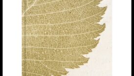 יצירות אמנות לכידת הטבע 5 בחיק הטבע: צילומי נוף מהפנטים