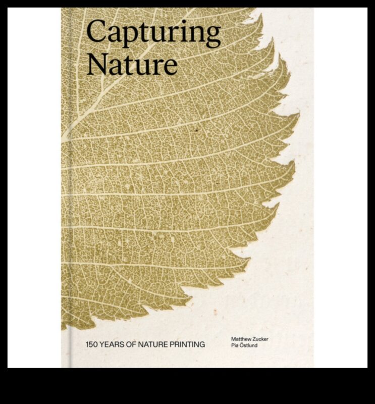 בחיק הטבע: צילומי נוף מהפנטים