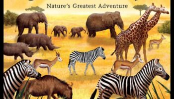 הרפתקאות טבע אפיות: אוסף של נופי נוף מרהיבים