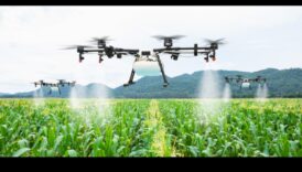 שדות של שפע: שטחים חקלאיים ושדות יבול נחקרו