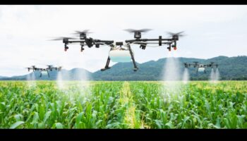 שדות של שפע: שטחים חקלאיים ושדות יבול נחקרו