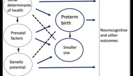 מטפח הטבע: טיפוח התפתחות הוליסטית אצל תינוקות
