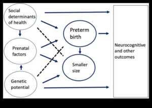 מטפח הטבע: טיפוח התפתחות הוליסטית אצל תינוקות