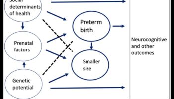 מטפח הטבע: טיפוח התפתחות הוליסטית אצל תינוקות