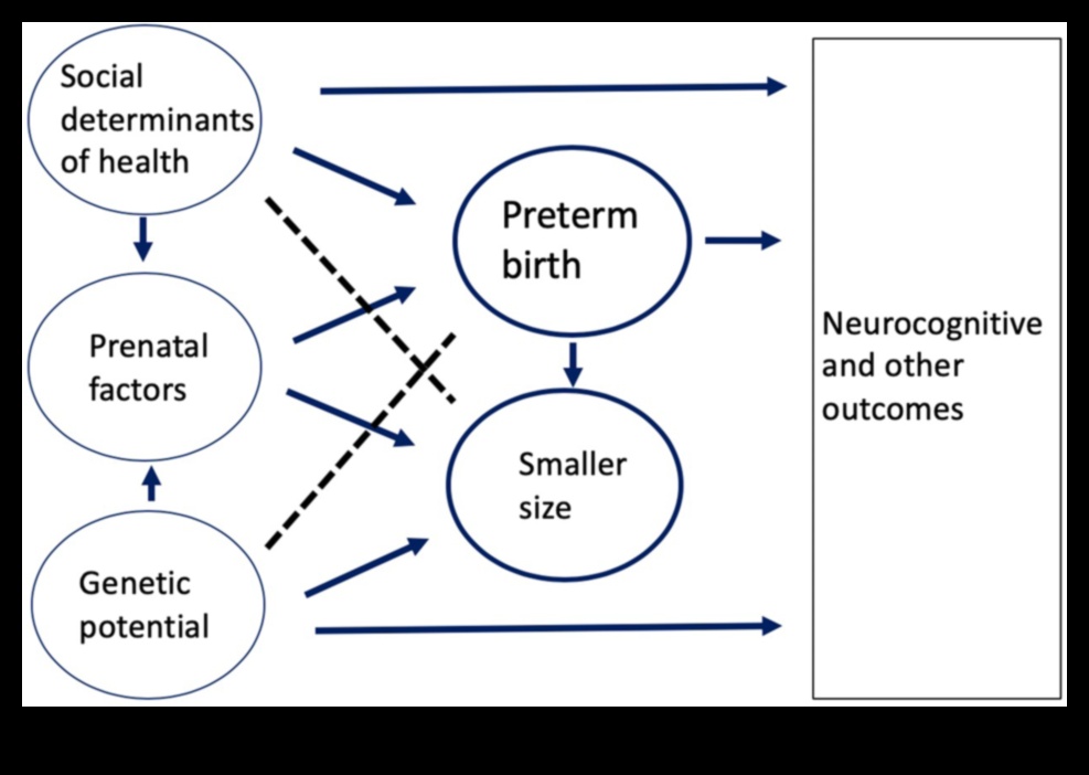 מטפח הטבע גישה הוליסטית להתפתחות תינוקות 1 מטפח הטבע: טיפוח התפתחות הוליסטית אצל תינוקות