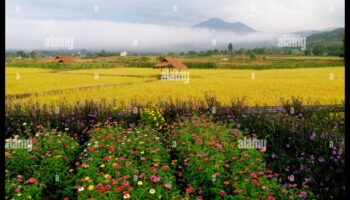 רפסודיה כפרית III: לכידת שוב את המהות של השלווה הכפרית