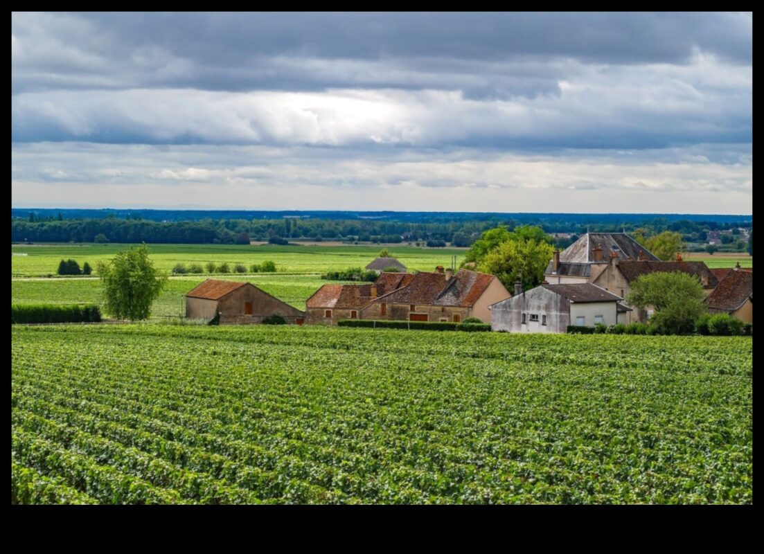 תענוגות הקציר: נחקרו כרמים ומטעים