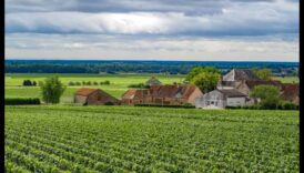 תענוגות וינטג' סיור קציר בכרמים ומטעים 1 תענוגות הקציר: נחקרו כרמים ומטעים